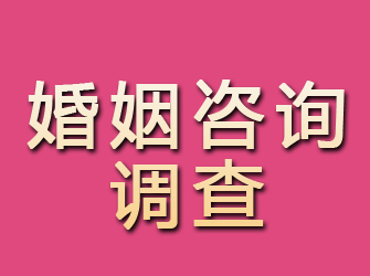 游仙婚姻咨询调查