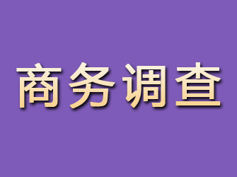 游仙商务调查